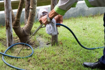 garten_hamburg_schaedlingshilfe_pflanzen_bespruehung.jpg